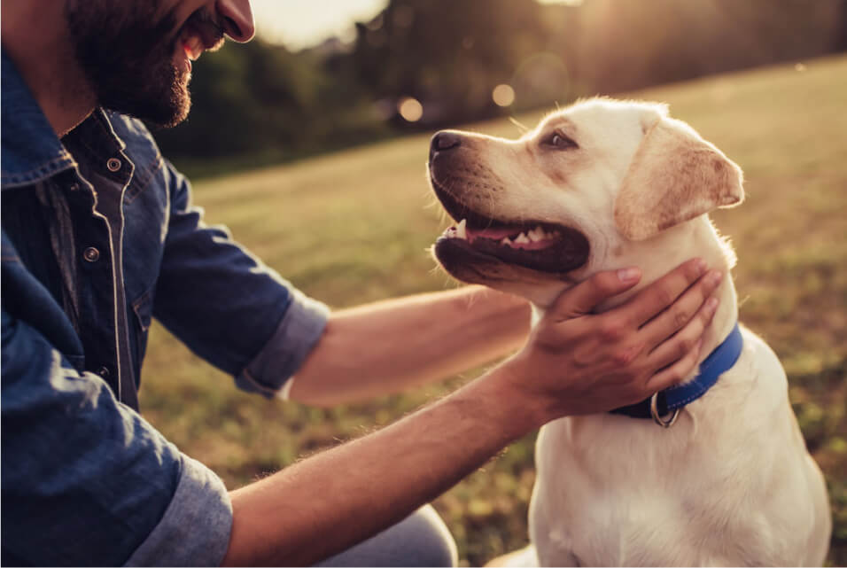 Ein Mann und ein Hund schauen sich an