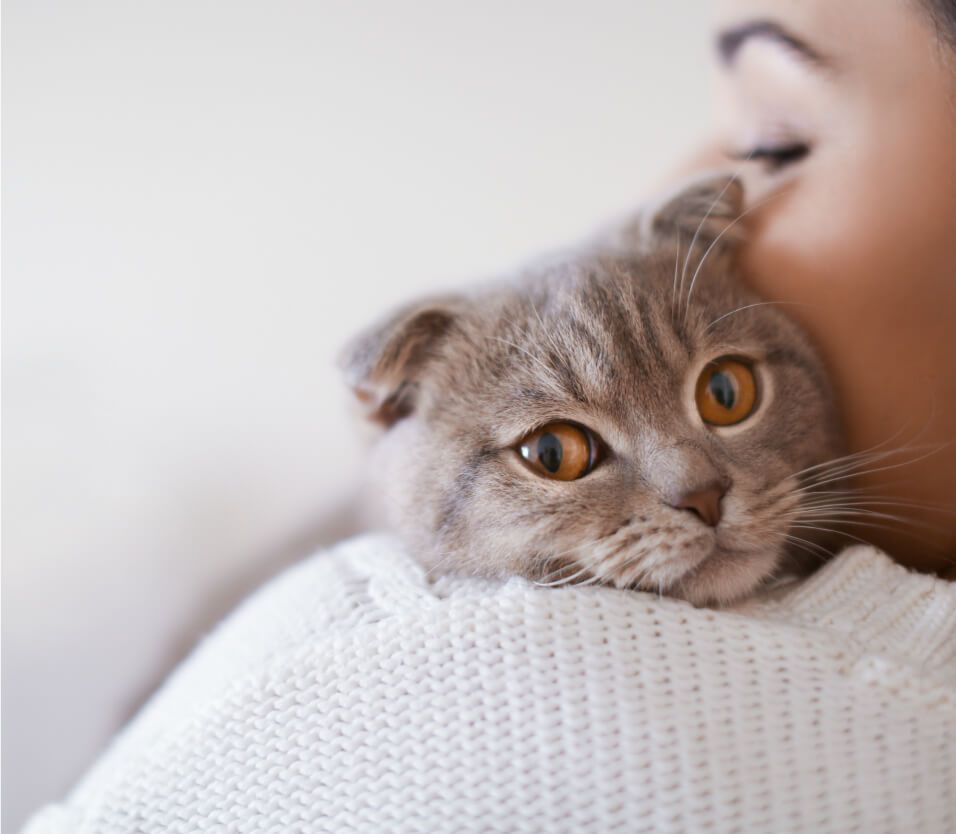 Eine Frau hält eine Katze im Arm
